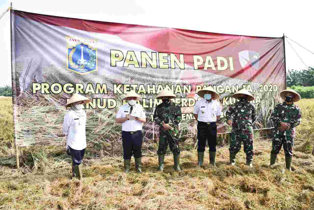 Pemprov DKI Gandeng TNI AU Kelola Lahan 6,2 Hektar di Halim