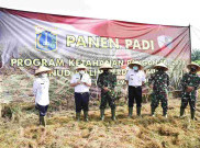 Pemprov DKI Gandeng TNI AU Kelola Lahan 6,2 Hektar di Halim