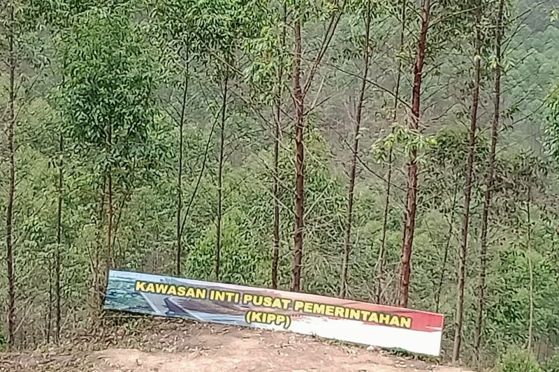 Pembangunan Infrastruktur Dasar IKN Nusantara Dimulai Agustus 2022