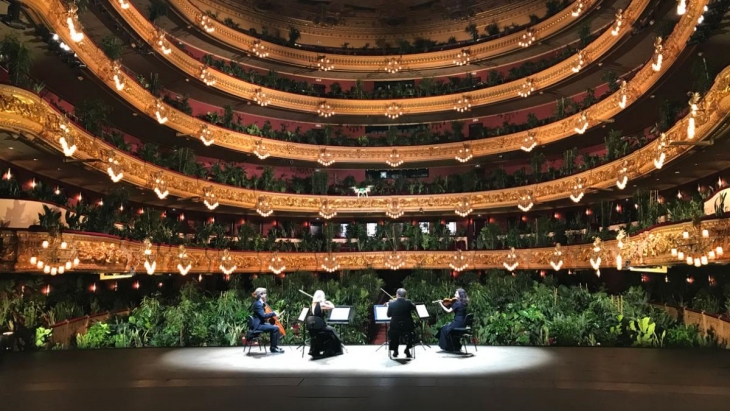 Unik, Konser Orkestra di Barcelona Ditonton Tanaman Hias