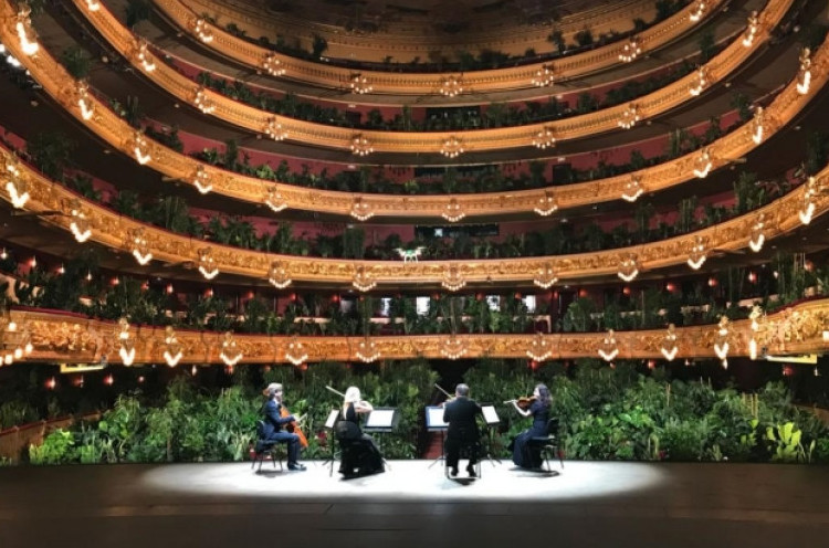 Unik, Konser Orkestra di Barcelona Ditonton Tanaman Hias