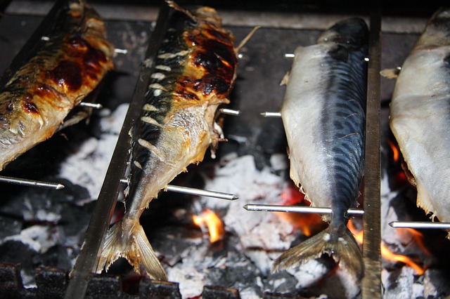 Ikan kembung bisa menjadi alternatif selain salmon (Foto: Pixabay/schauhi)