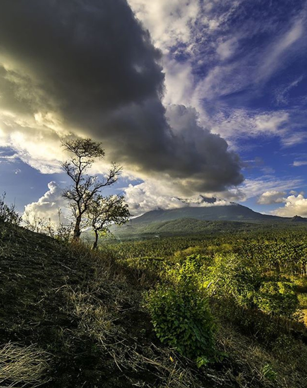 cagar alam tangkoko