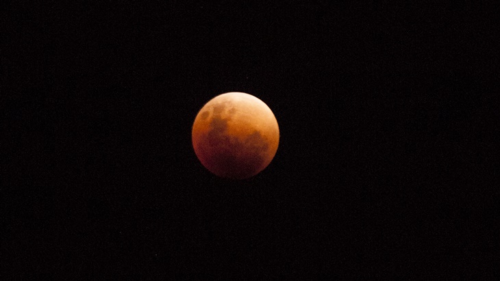 Super Blood Moon di Makassar (Antara Foto/Yusran Uccang)
