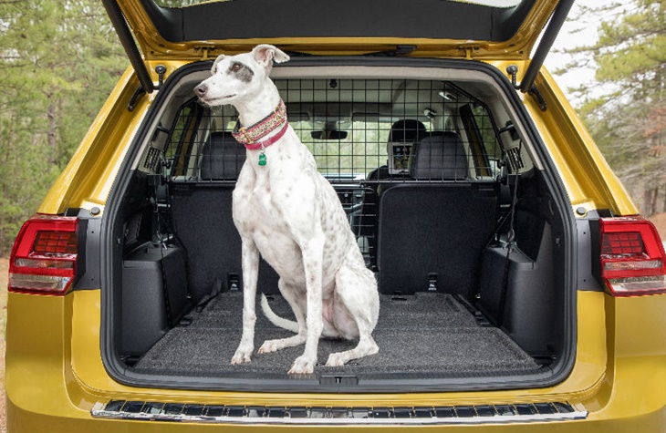 VW Atlas