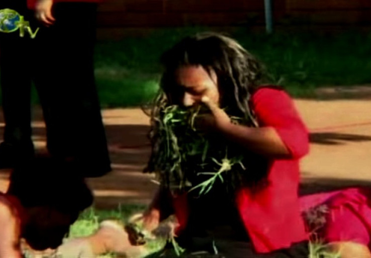 Gila, Pastur Ini Ajak Jemaatnya Makan Rumput dan Minum Bensin