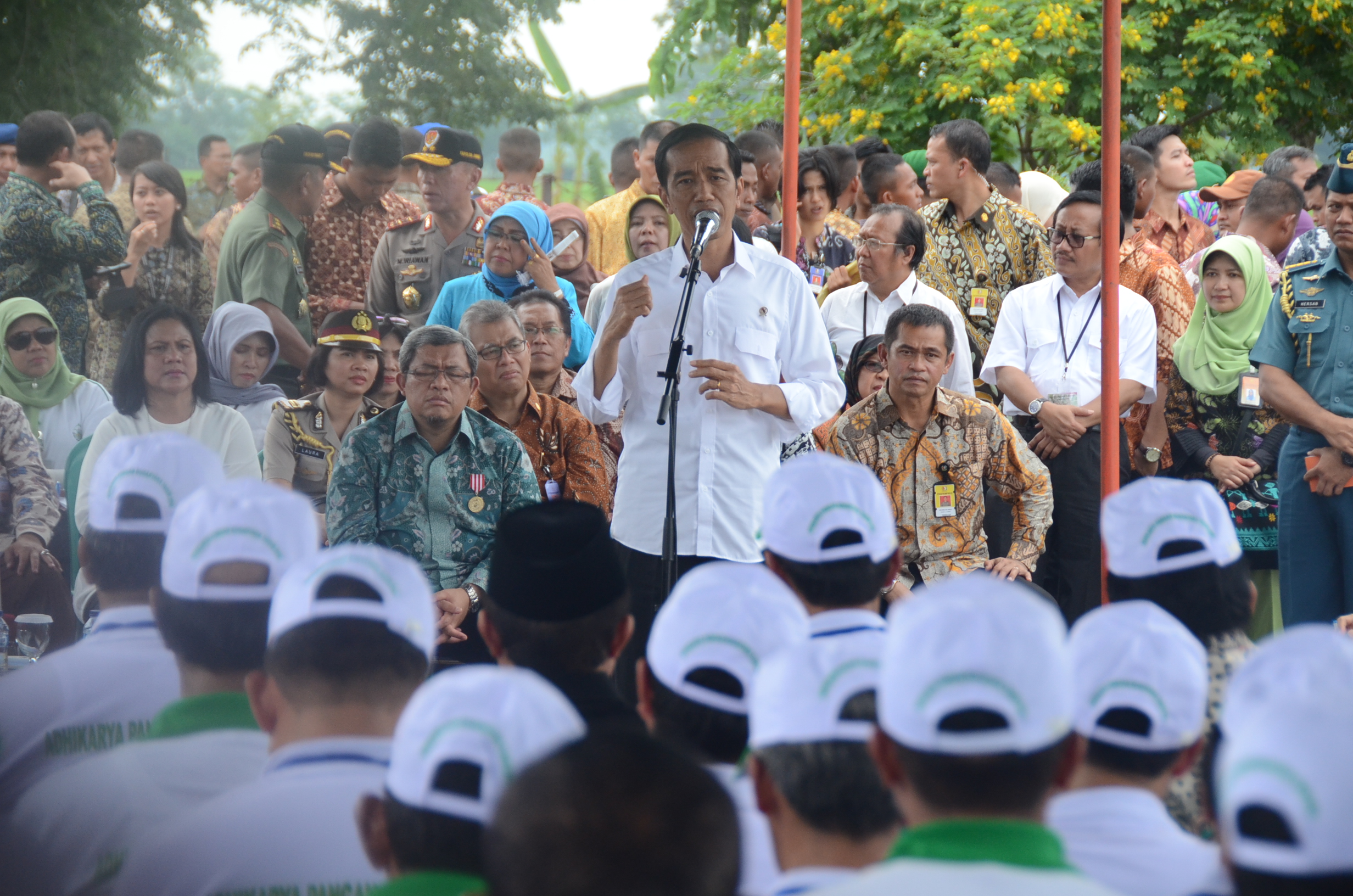 Indonesia Swasembada Pangan Dalam Tiga Tahun