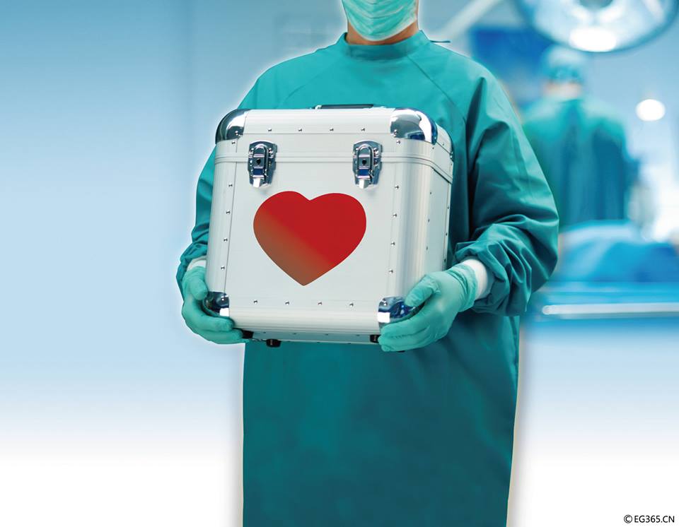 Apakah Anda Rela Mendonasikan Organ Tubuh? 