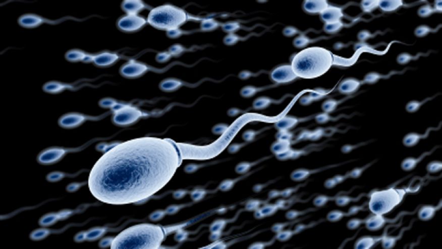 Zat Bermanfaat di Dalam Sperma