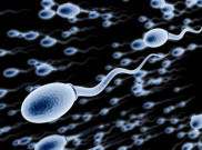 Zat Bermanfaat di Dalam Sperma