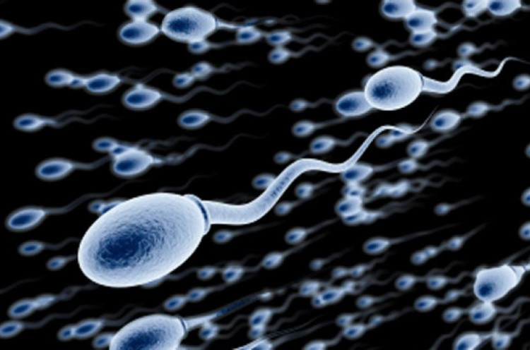 Zat Bermanfaat di Dalam Sperma