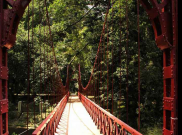 Pohon Tumbang di Kebun Raya, 4 Tewas dan 21 Luka-luka