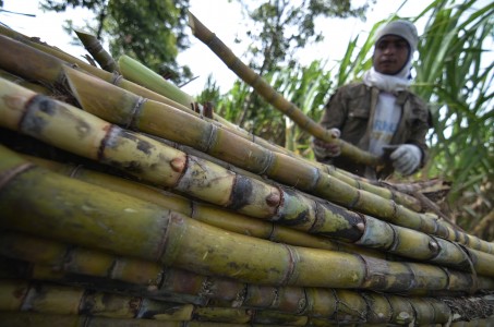 Hindari Mafia, DPR RI Desak Jokowi Moratorium Impor Gula