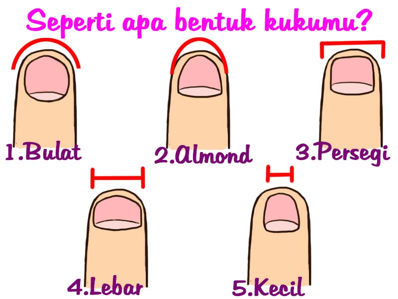 Cara Mengetahui Kelemahan Anda Melalui Bentuk Kuku
