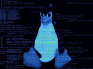 Kenapa Hacker Nyaman Menggunakan LINUX?
