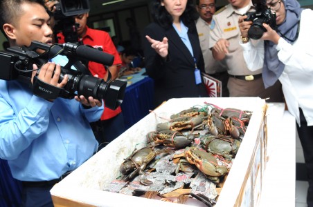 KKP Gagalkan Pengiriman Kura-Kura dan Lobster