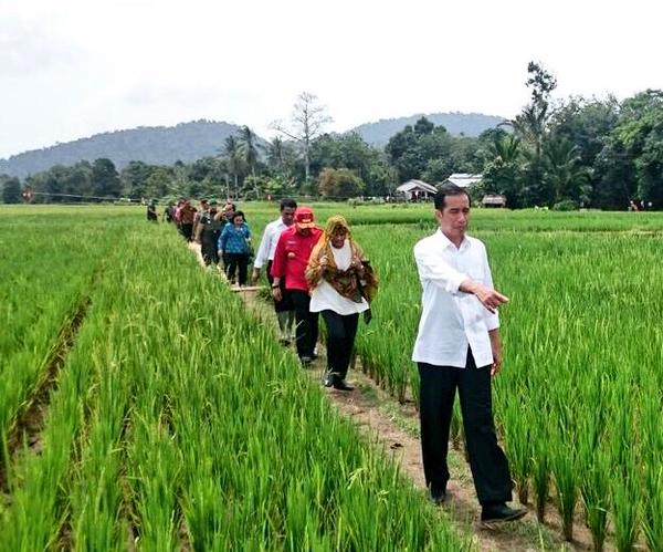 Presiden Jokowi Sambangi Kalimantan Barat