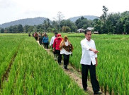 Presiden Jokowi Sambangi Kalimantan Barat