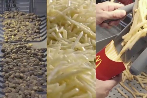 Ini Cara McDonald Membuat Kentang Goreng
