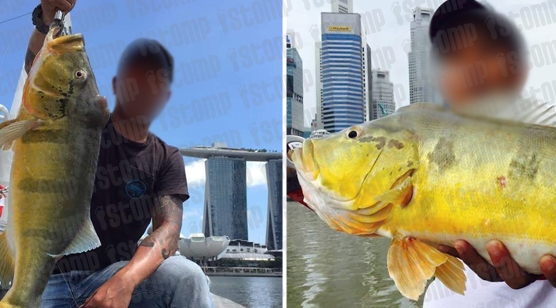 Aksi Bodoh Penangkap Ikan Ilegal Heboh di Internet