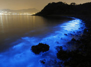 Pesona Cahaya Biru di Pantai Hongkong
