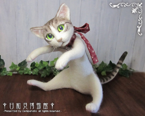 Trend Bando Kucing di Jepang