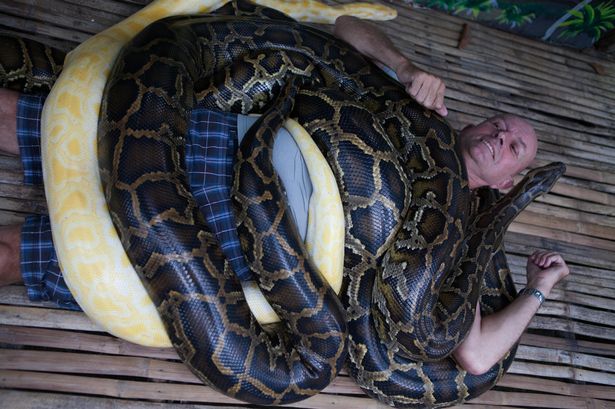 Kebun Binatang ini Sediakan Layanan Pijat Ular