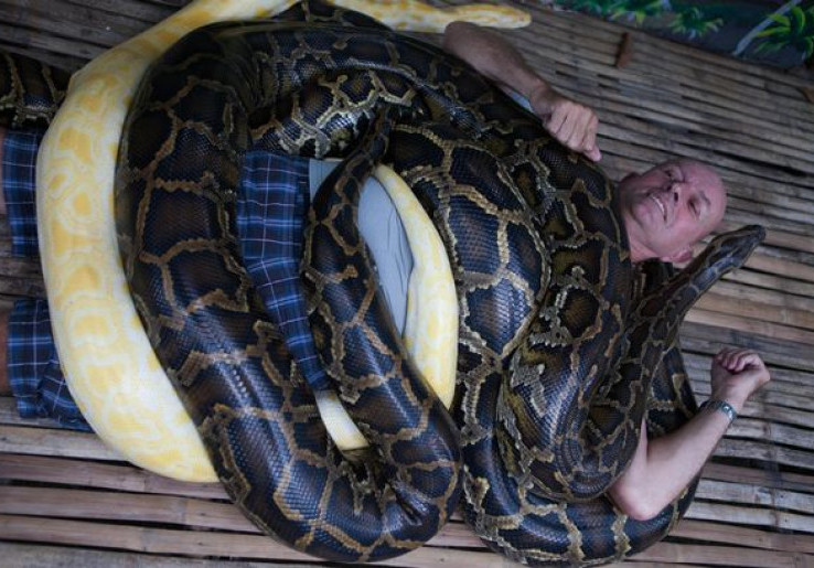 Kebun Binatang ini Sediakan Layanan Pijat Ular