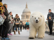 Ada Beruang Kutub Berkeliaran di London