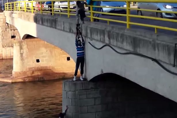 Demi Seekor Anjing Pria ini Melompat ke Bawah Jembatan