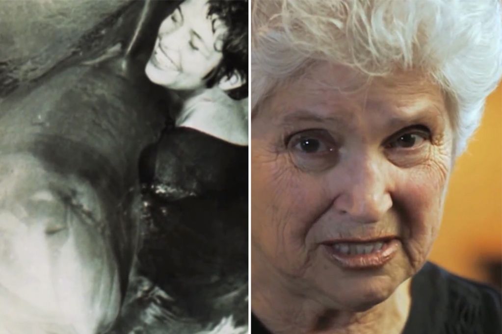 Seorang Perempuan Jalin Hubungan Seksual dengan Lumba-Lumba