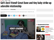 Anjing Raksasa jadi Teman Baik Bayi 7 Bulan
