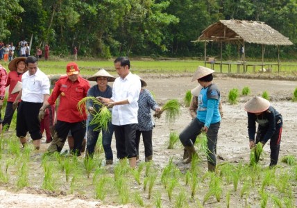 Survei: Tingkat Kepercayaan Dunia Terhadap Indonesia Meningkat