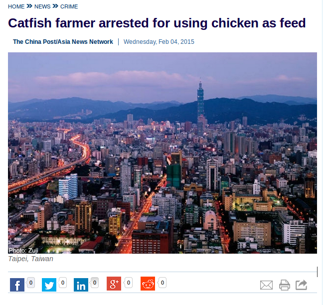 Gunakan Ayam Sebagai Pakan, Petani Lele Ditangkap