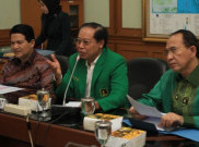 Silaturahmi, PPP-Djan Faridz Sambangi DKPP