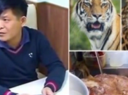 Restoran di Moskow Hidangkan Daging Harimau dengan Harga Fantastis