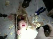 Video Bayi Dikeluarkan dari Pipa Toilet