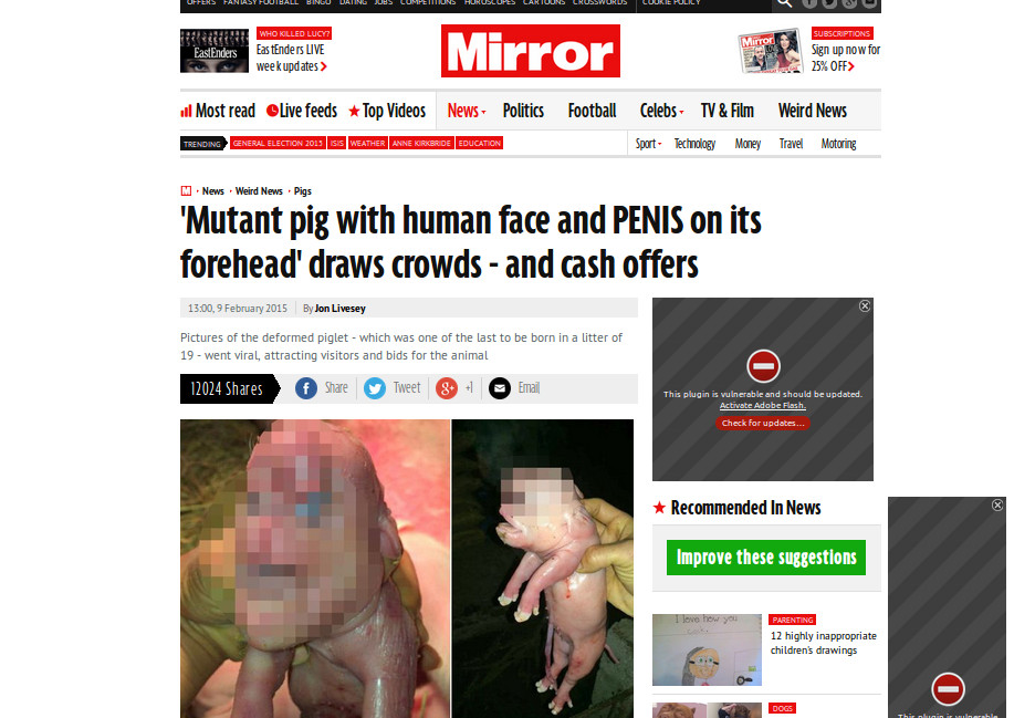 Babi Berwajah Manusia dengan Penis di Dahi