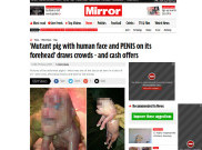 Babi Berwajah Manusia dengan Penis di Dahi