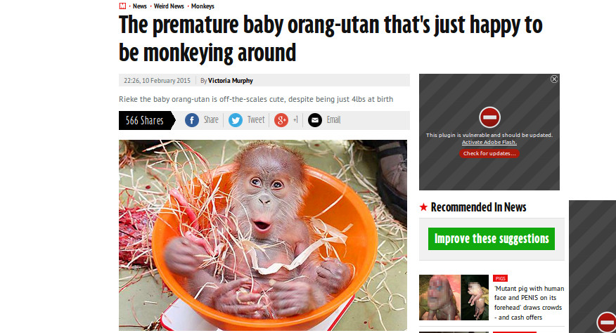 Bayi Orangutan Prematur Curi Perhatian Warga Jerman