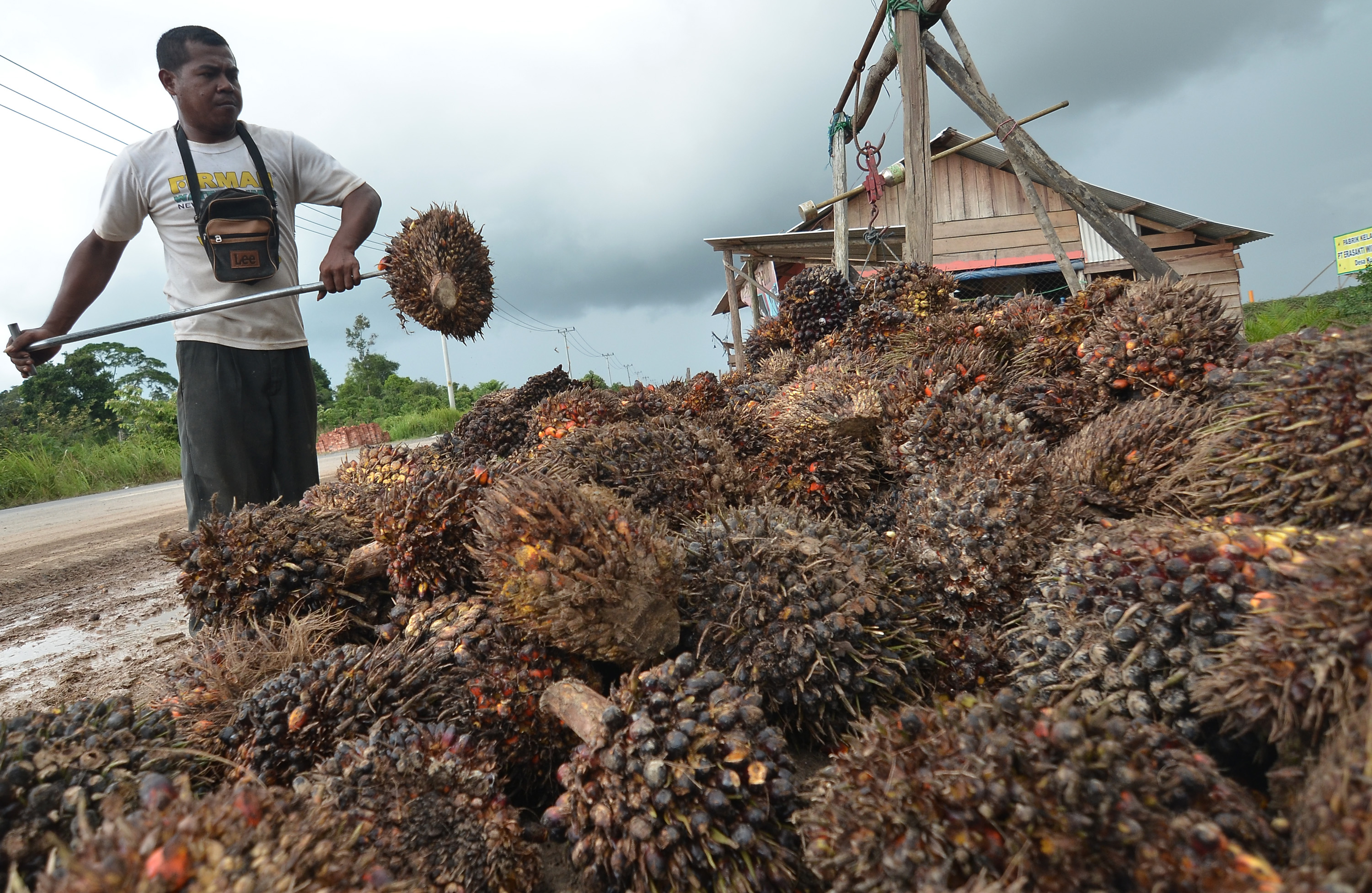 Industri Agro Merupakan Masa Depan Indonesia