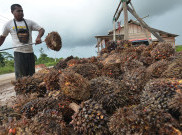 Industri Agro Merupakan Masa Depan Indonesia