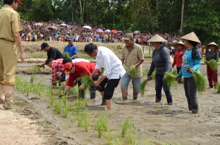  Dua Kunci Ketahanan Pangan