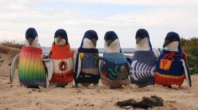 Kakek 109 Tahun Buat Sweater Khusus Penguin