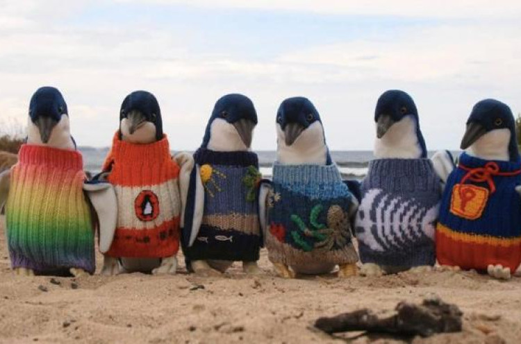 Kakek 109 Tahun Buat Sweater Khusus Penguin