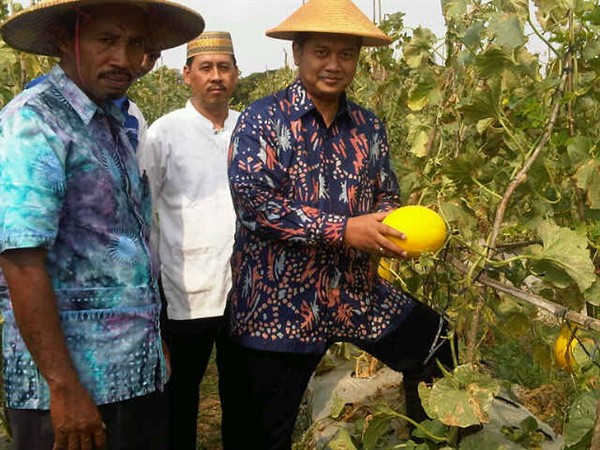 Anggota DPR: Impor Harus Dibatasi