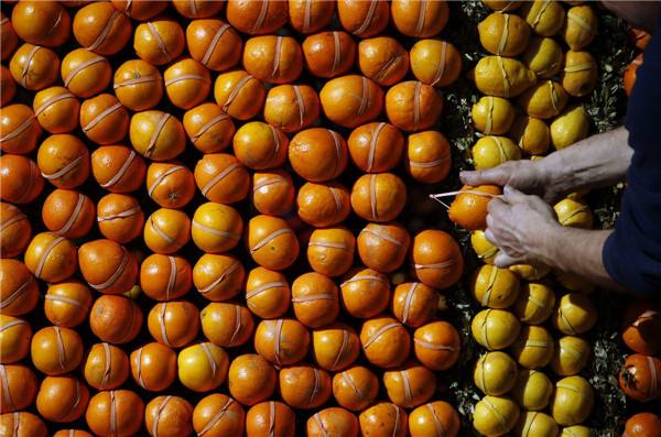 Karya Seni Spektakuler dari Jeruk Lemon