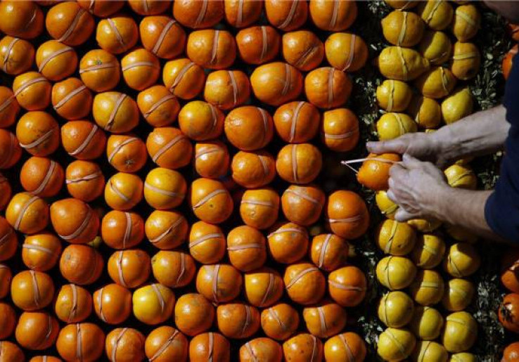 Karya Seni Spektakuler dari Jeruk Lemon
