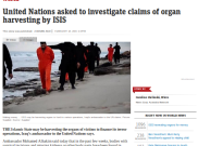 PBB Diminta Selidiki Kasus Jual Organ oleh ISIS