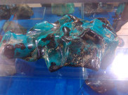 Harga Batu Bacan Doko Capai Miliaran Rupiah
